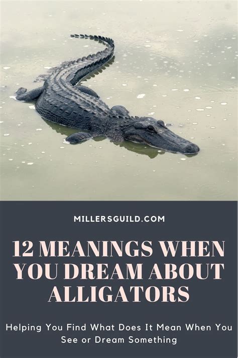 dreaming of crocodiles attacking you|12 Crocodile Dream Meaning: Interpretation and Symbols Behind It.